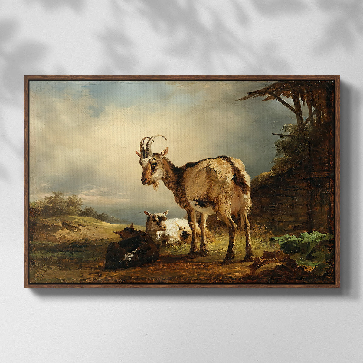 A Goat with Two Kids - Floater Framed Canvas Print