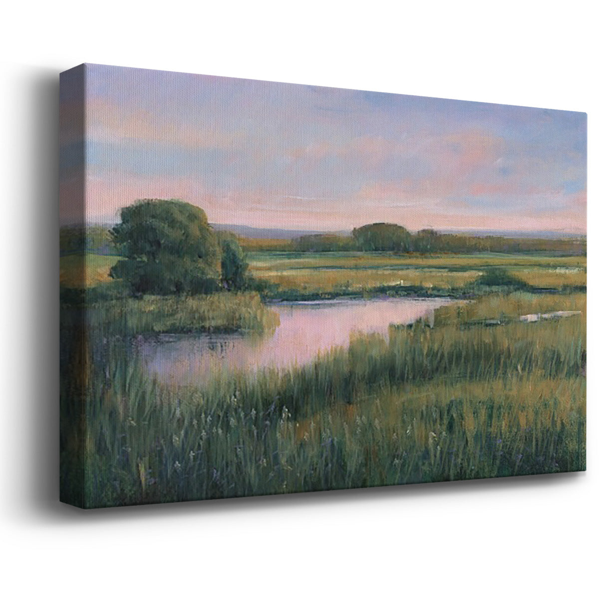 Spring Marsh I Premium Gallery Wrapped Canvas - Ready to Hang