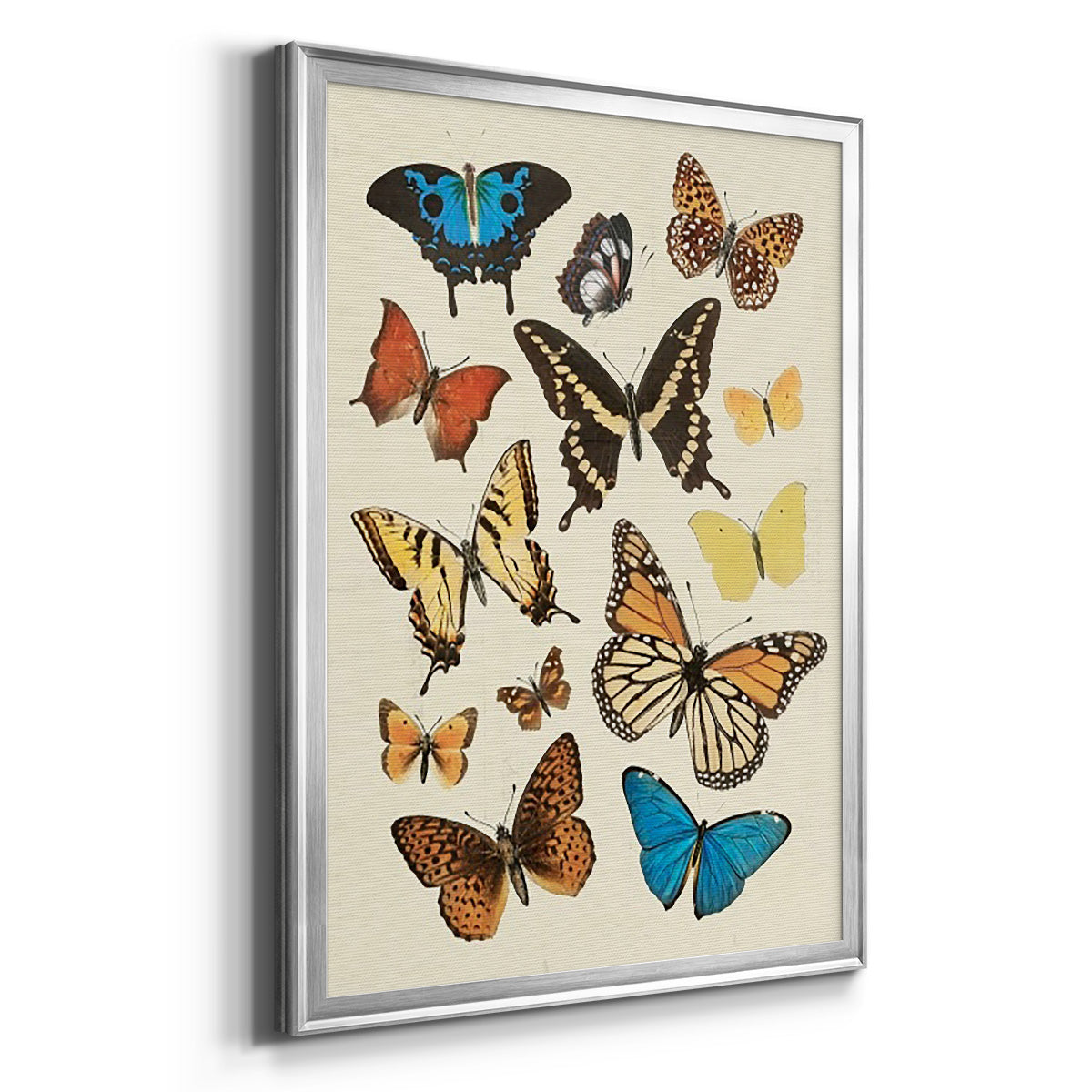 Collected Flutter II - Modern Framed Canvas Print