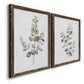 Eucalyptus I - Premium Framed Canvas 2 Piece Set - Ready to Hang