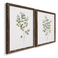 Eucalyptus I   - Premium Framed Canvas 2 Piece Set - Ready to Hang