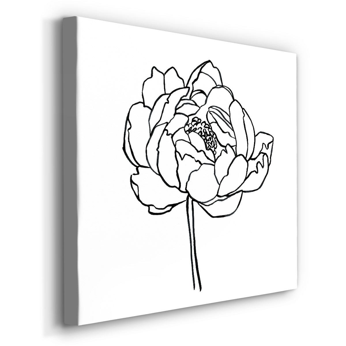 Peony Contour I - Canvas Art Print