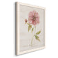 Soft Peony - Premium Canvas Framed in Barnwood - Ready to Hang