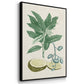 Buchoz Tropicals II - Floater Framed Canvas Set