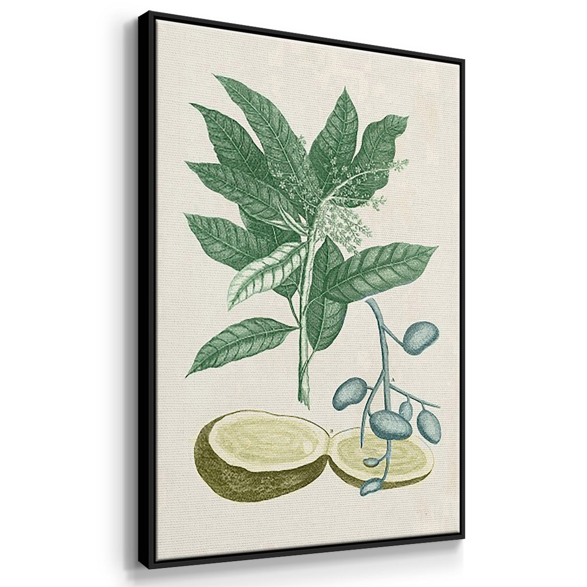 Buchoz Tropicals II - Floater Framed Canvas Set