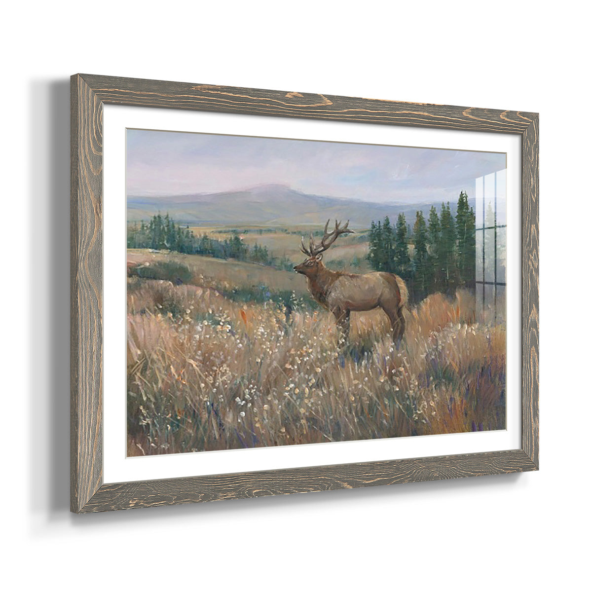 Western Wildlife II - Barnwood Framed Art Print
