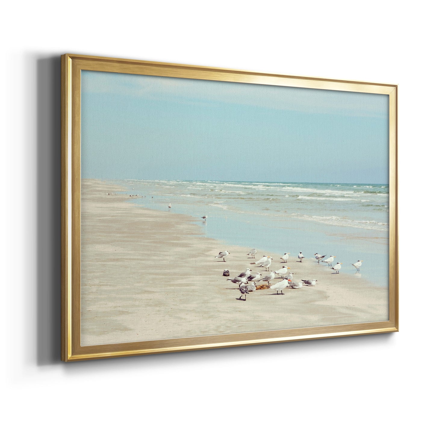 Padre Island Shore Birds Premium Classic Framed Canvas - Ready to Hang