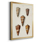 Cone Shell Collection II - Modern Framed Canvas Print