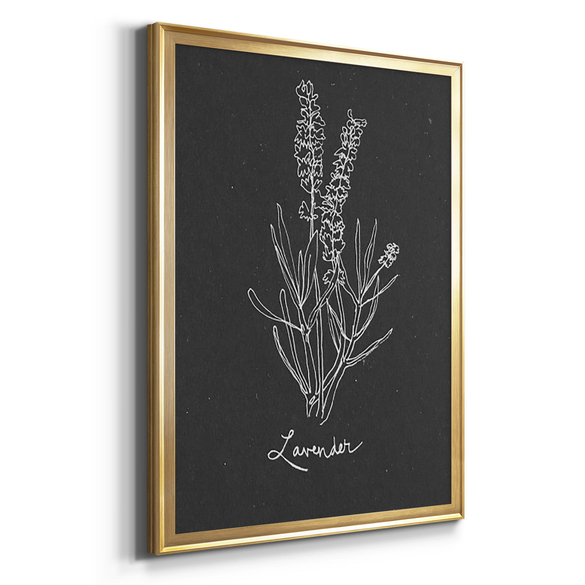 Scent Garden II - Modern Framed Canvas Print