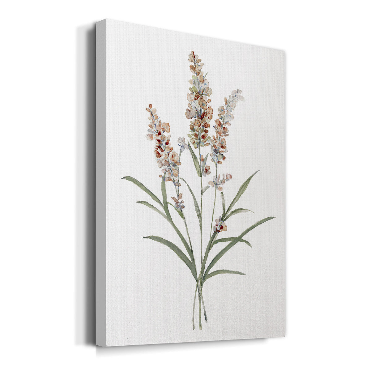 Dainty Botanical I - Canvas Art Print