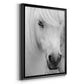 Island Pony I - Modern Framed Canvas Print