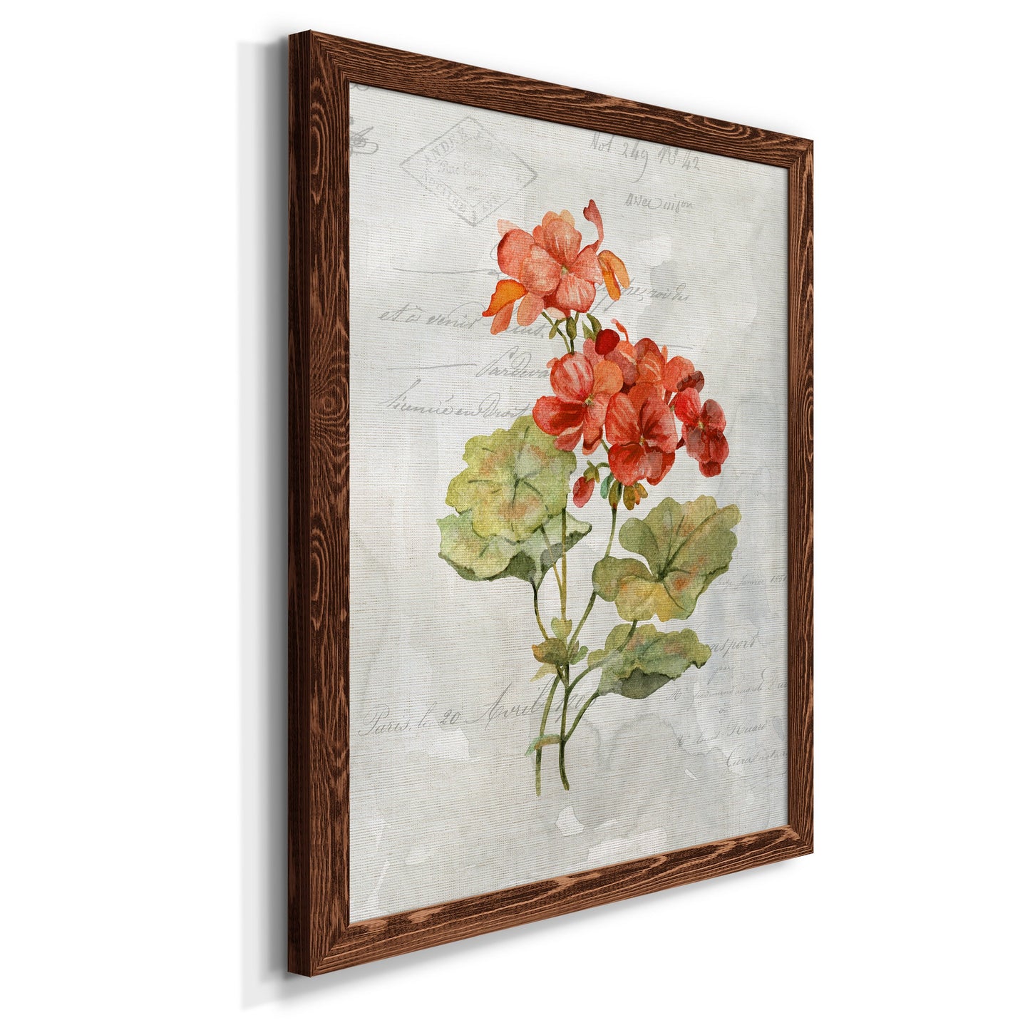 Linen Geranium - Premium Canvas Framed in Barnwood - Ready to Hang