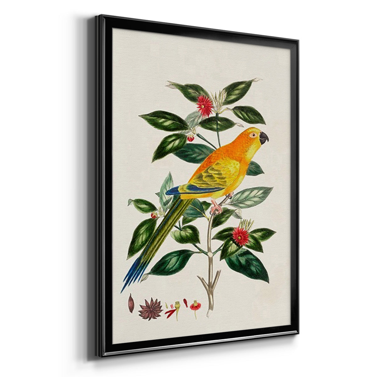 Bird in Habitat V - Modern Framed Canvas Print