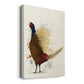 Pheasant Splash 8 - Canvas Art Print