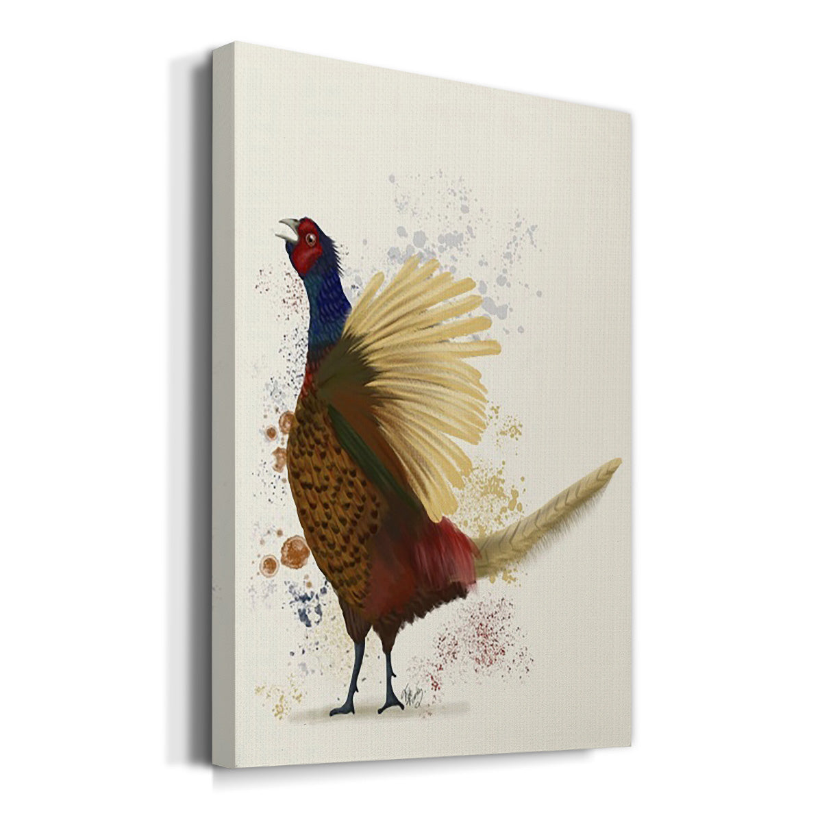 Pheasant Splash 8 - Canvas Art Print