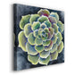 Succulent Rosette II - Canvas Art Print