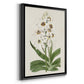 Flore Albo I - Modern Framed Canvas Print