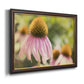 Echinacea Study II Premium Framed Canvas- Ready to Hang