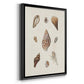 Knorr Shells & Coral IX - Modern Framed Canvas Print