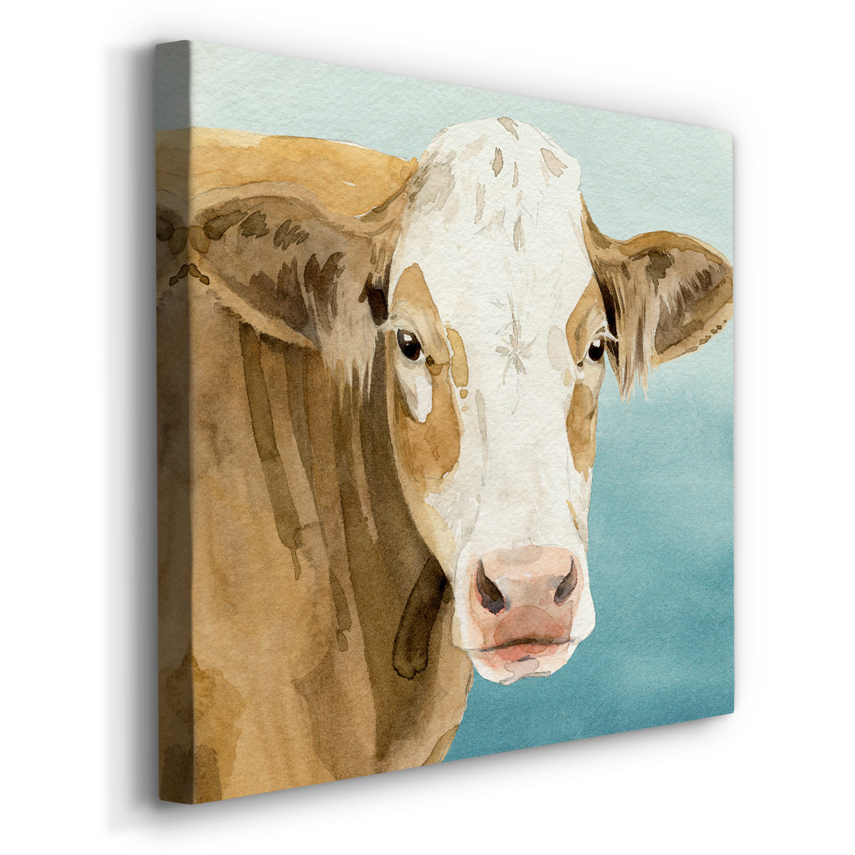 Hereford Stare I-Premium Gallery Wrapped Canvas - Ready to Hang