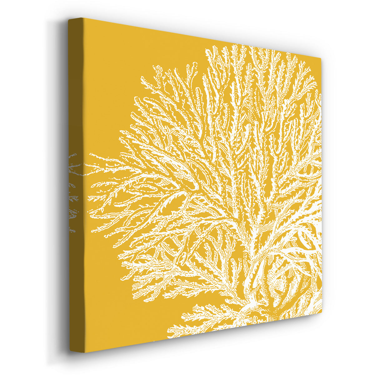 Saturated Coral I - Canvas Art Print