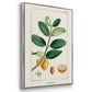 Turpin Tropical Botanicals IV - Framed Premium Gallery Wrapped Canvas L Frame 3 Piece Set - Ready to Hang