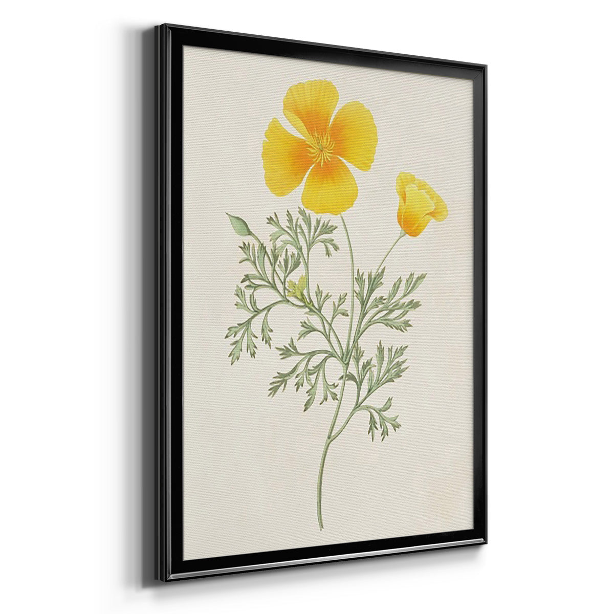 Flowers of the Seasons IX - Modern Framed Canvas Print