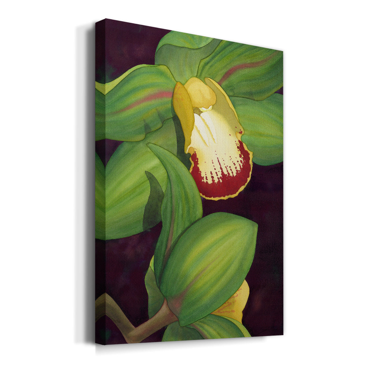 Lime Orchid II Premium Gallery Wrapped Canvas - Ready to Hang