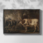 Portraits of Two Extraordinary Oxen, Property of the Earl of Powis, 1814 - Floater Framed Canvas Print