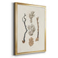 Knorr Shells & Coral V - Modern Framed Canvas Print
