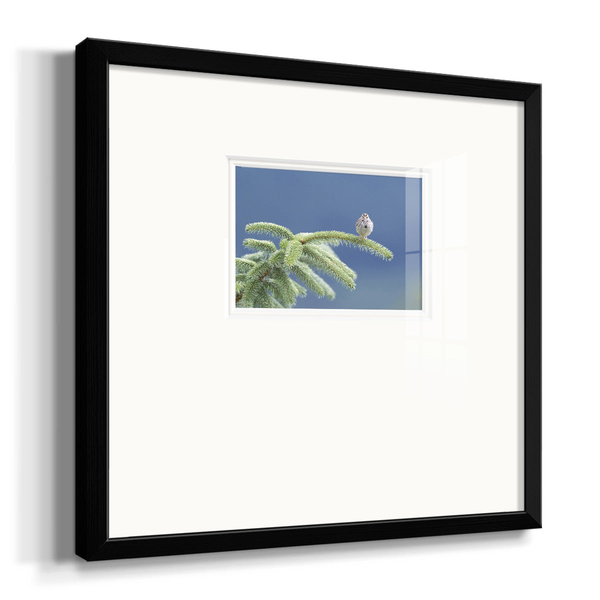 Evergreen Perch- Premium Framed Print Double Matboard