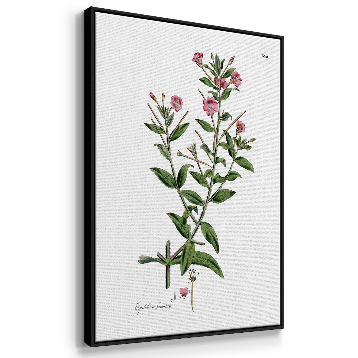 Rose Botanical I - Framed Premium Gallery Wrapped Canvas L Frame 3 Piece Set - Ready to Hang