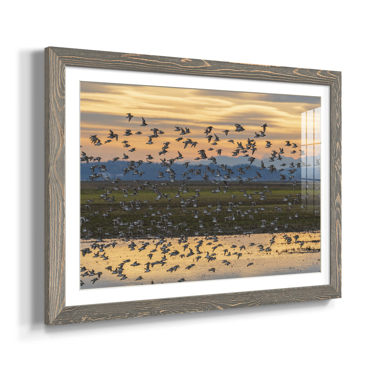 Sunset Flight - Barnwood Framed Art Print