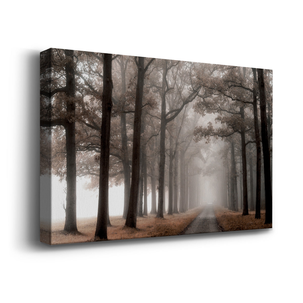 Misty Road - Canvas Art Print
