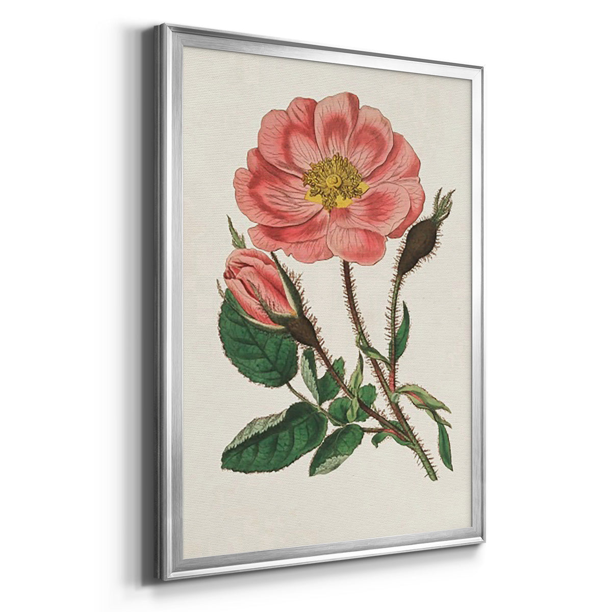 Pink Floral Mix IX - Modern Framed Canvas Print