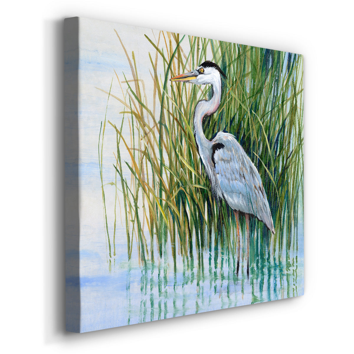 Heron in the Marsh II - Canvas Art Print