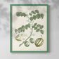Buchoz Tropicals II - Restickable Framed Art Print