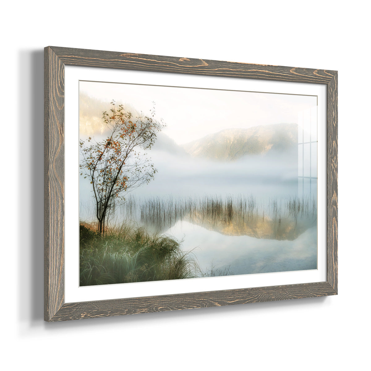 Golden Mirror of October - Barnwood Framed Art Print