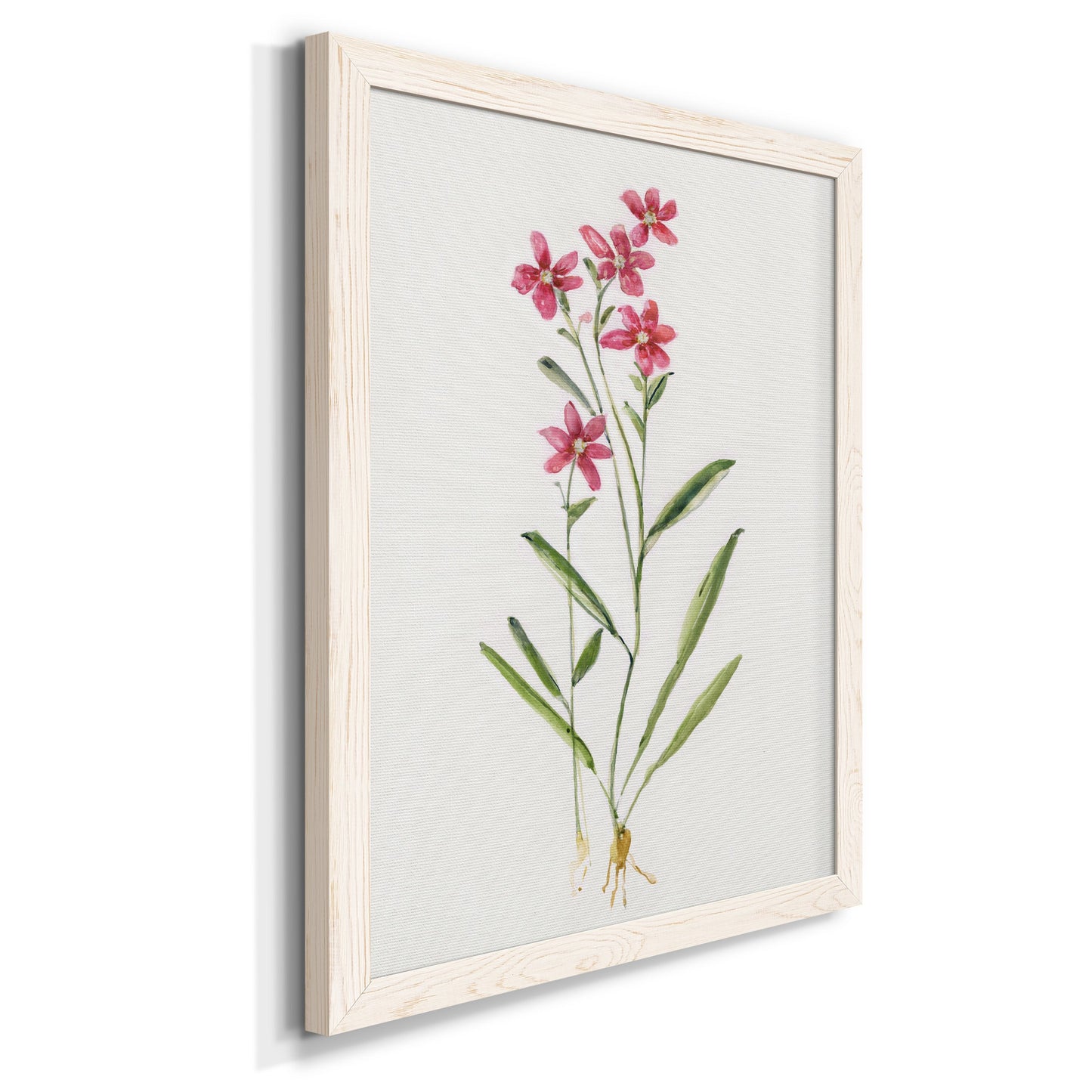 Delicate Pink II - Premium Canvas Framed in Barnwood - Ready to Hang