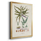 Botanical Society Ferns VIII - Modern Framed Canvas Print