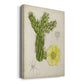 Antique Cactus I Premium Gallery Wrapped Canvas - Ready to Hang