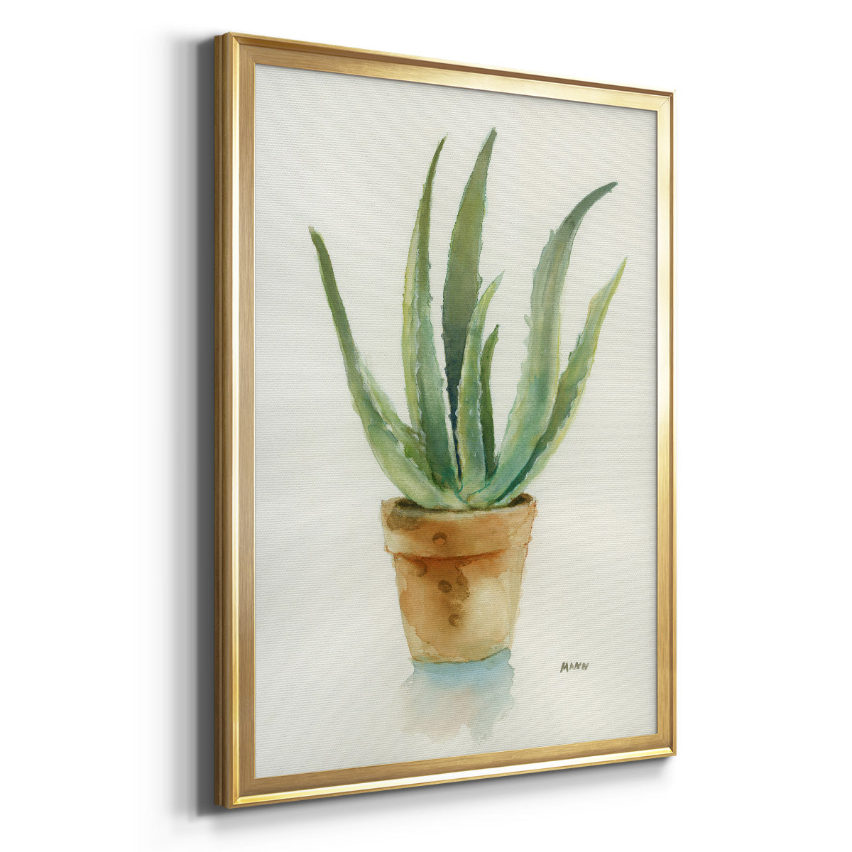 Succulent IV - Modern Framed Canvas Print