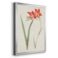 Flowers of the Seasons IV - Modern Framed Canvas Print