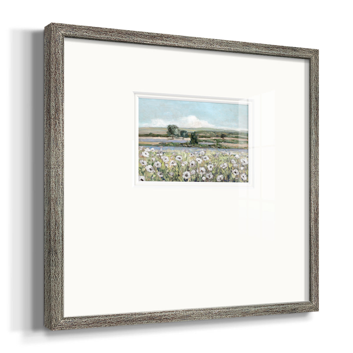 Vintage Poppy Valley Premium Framed Print Double Matboard