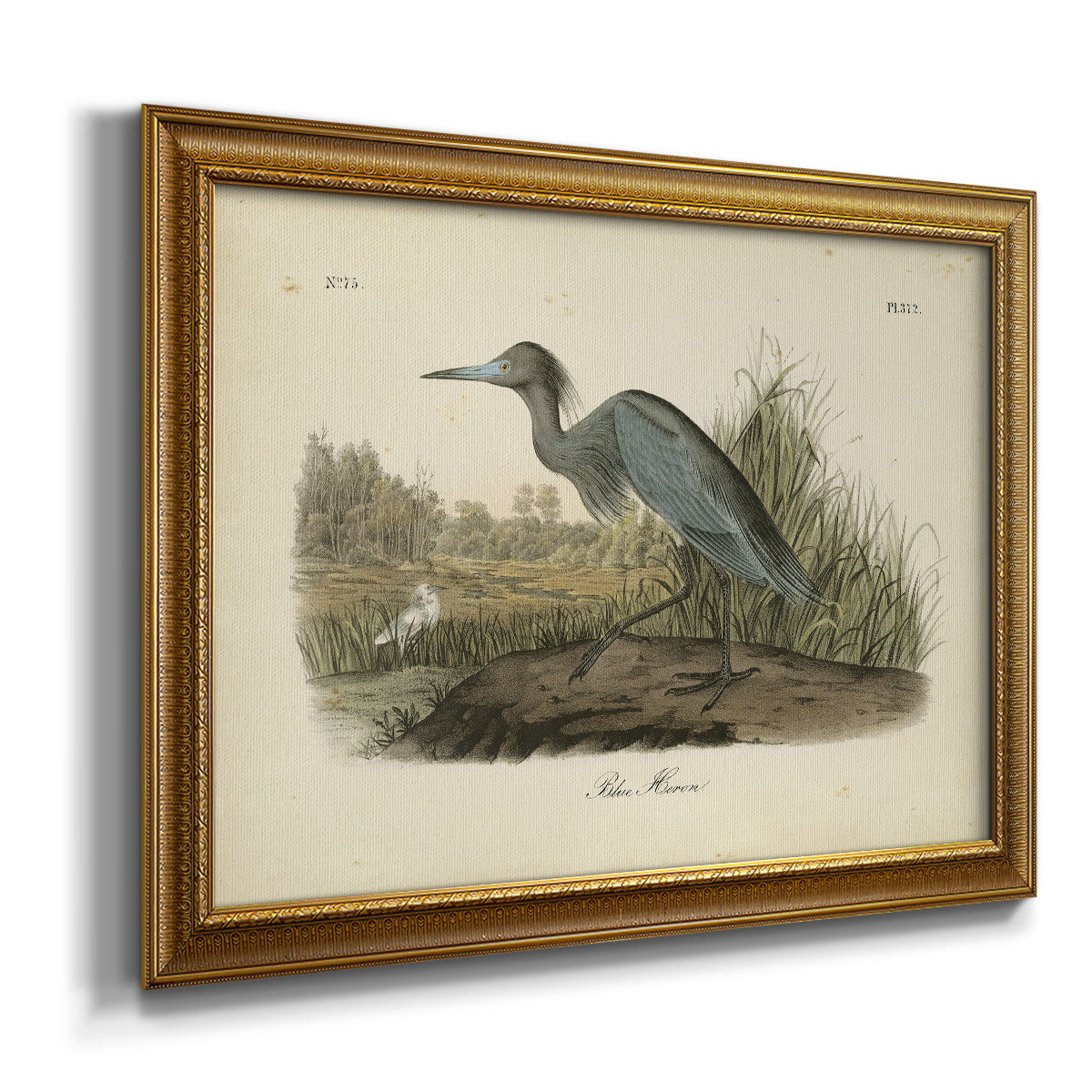 Audubons Blue Heron Premium Framed Canvas- Ready to Hang