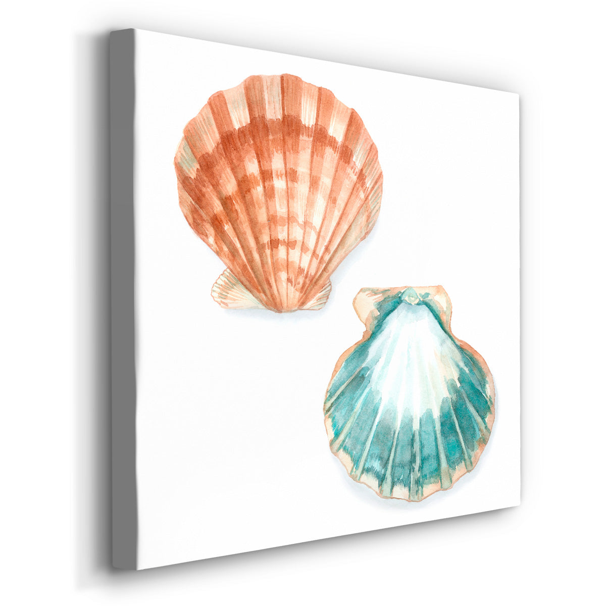 Watercolor Shells I-Premium Gallery Wrapped Canvas - Ready to Hang