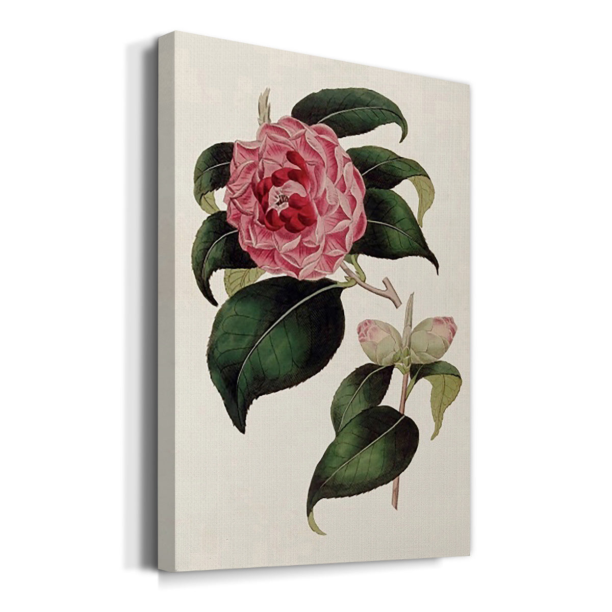 Pink Floral Mix III - Canvas Art Print