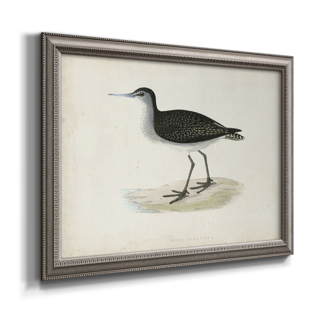 Morris Sandpipers VIII Premium Framed Canvas- Ready to Hang