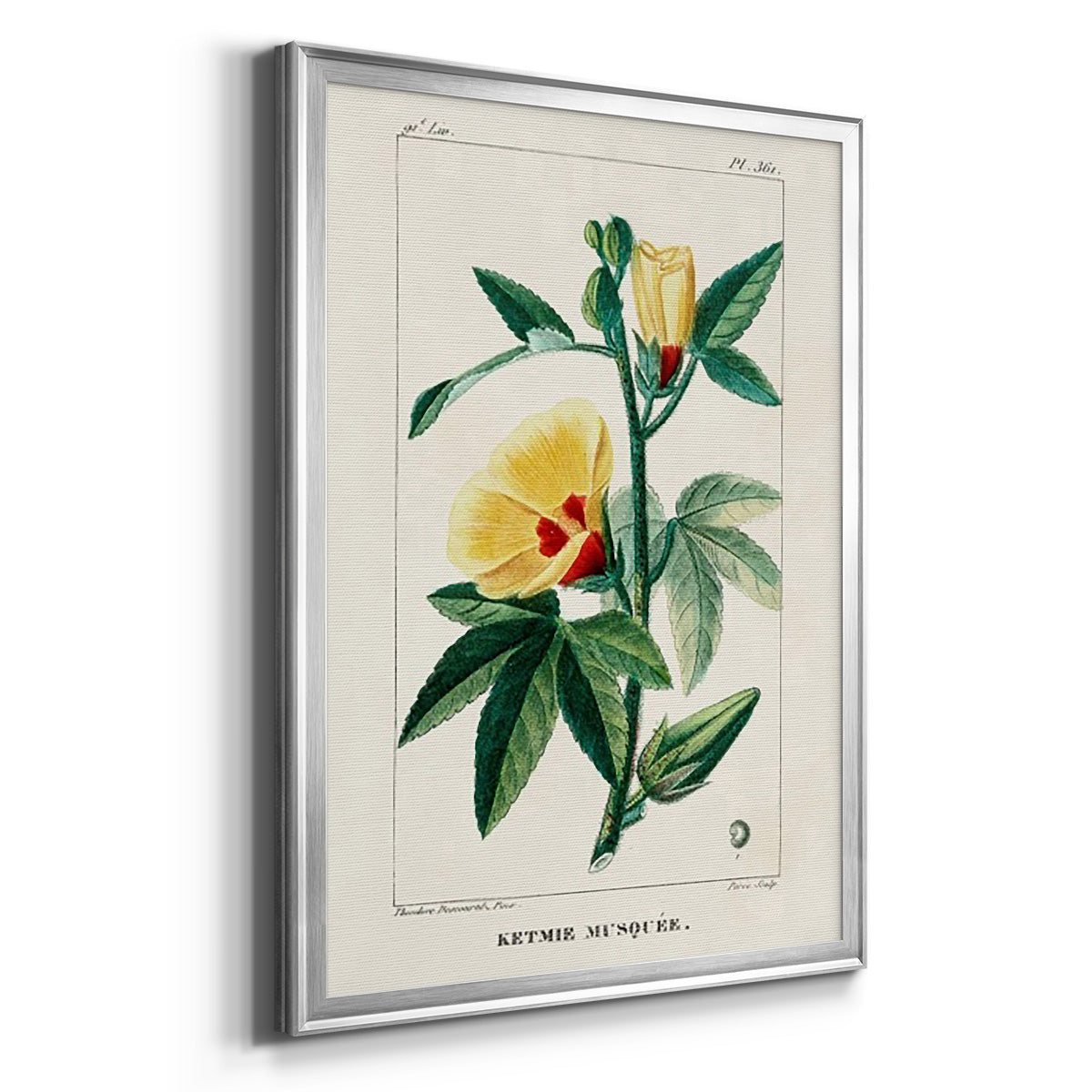 Turpin Tropical Botanicals VI - Modern Framed Canvas Print