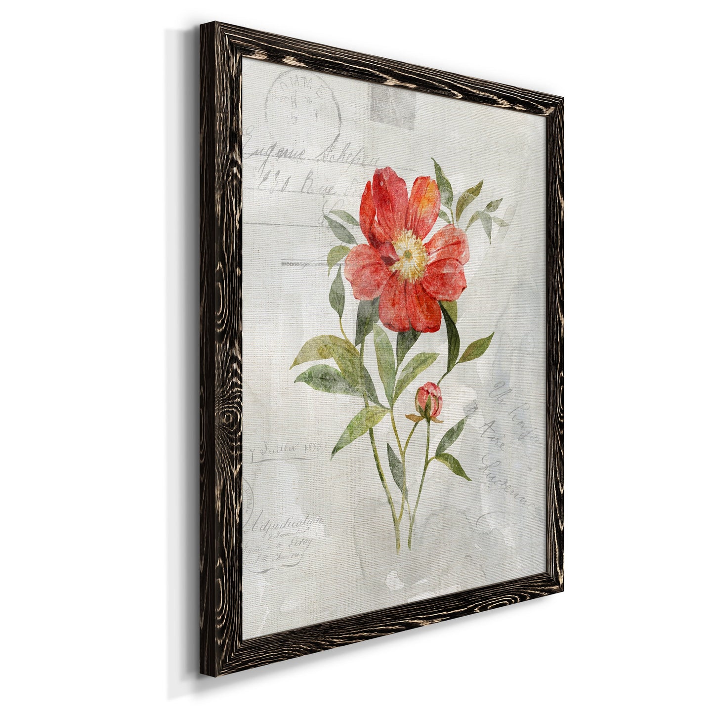 Linen Peony - Premium Canvas Framed in Barnwood - Ready to Hang